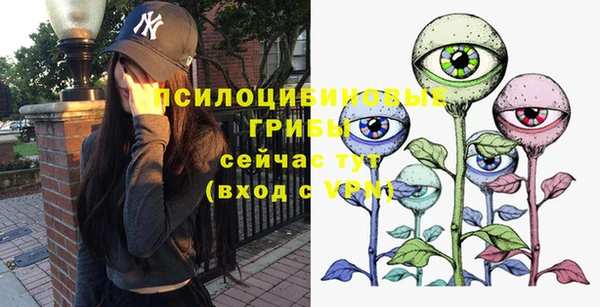 прущий лед Аркадак