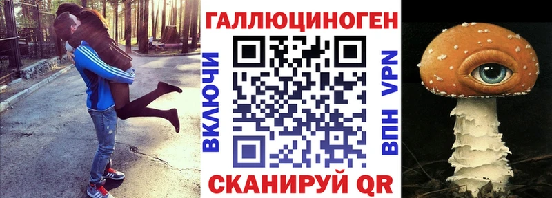 Галлюциногенные грибы Psilocybe  Тимашёвск 
